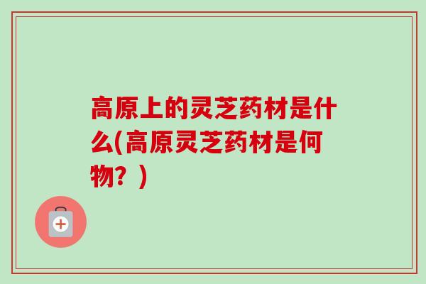 高原上的灵芝药材是什么(高原灵芝药材是何物？)