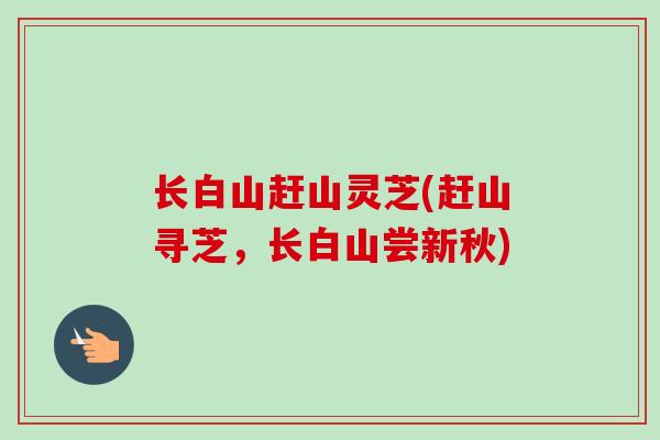 长白山赶山灵芝(赶山寻芝，长白山尝新秋)