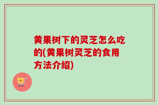 黄果树下的灵芝怎么吃的(黄果树灵芝的食用方法介绍)