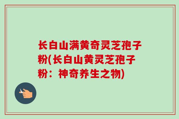 长白山满黄奇灵芝孢子粉(长白山黄灵芝孢子粉：神奇养生之物)
