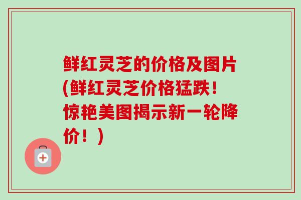 鲜红灵芝的价格及图片(鲜红灵芝价格猛跌！惊艳美图揭示新一轮降价！)