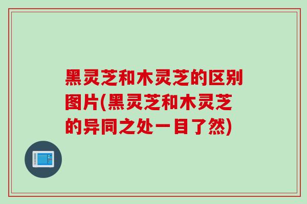 黑灵芝和木灵芝的区别图片(黑灵芝和木灵芝的异同之处一目了然)