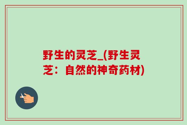 野生的灵芝_(野生灵芝：自然的神奇药材)