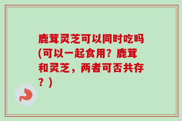 鹿茸灵芝可以同时吃吗(可以一起食用？鹿茸和灵芝，两者可否共存？)