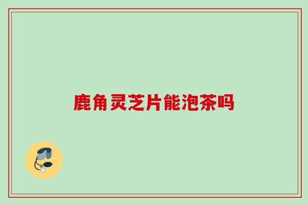 鹿角灵芝片能泡茶吗