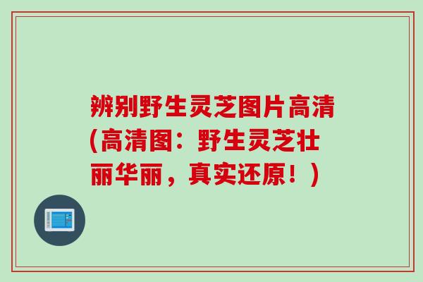 辨别野生灵芝图片高清(高清图：野生灵芝壮丽华丽，真实还原！)