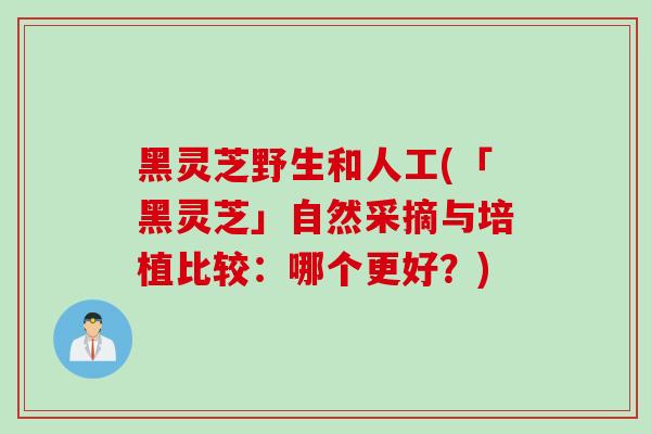 黑灵芝野生和人工(「黑灵芝」自然采摘与培植比较：哪个更好？)