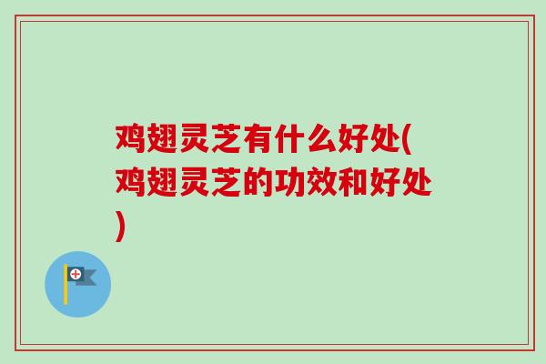鸡翅灵芝有什么好处(鸡翅灵芝的功效和好处)