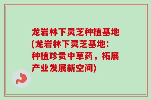 龙岩林下灵芝种植基地(龙岩林下灵芝基地：种植珍贵中草药，拓展产业发展新空间)