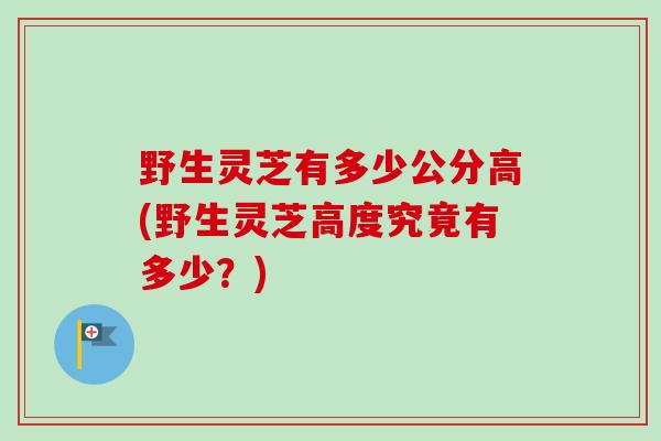 野生灵芝有多少公分高(野生灵芝高度究竟有多少？)