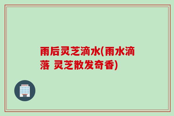 雨后灵芝滴水(雨水滴落 灵芝散发奇香)