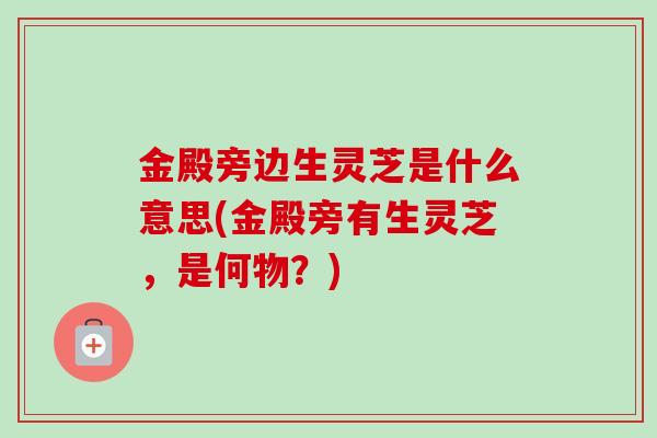 金殿旁边生灵芝是什么意思(金殿旁有生灵芝，是何物？)