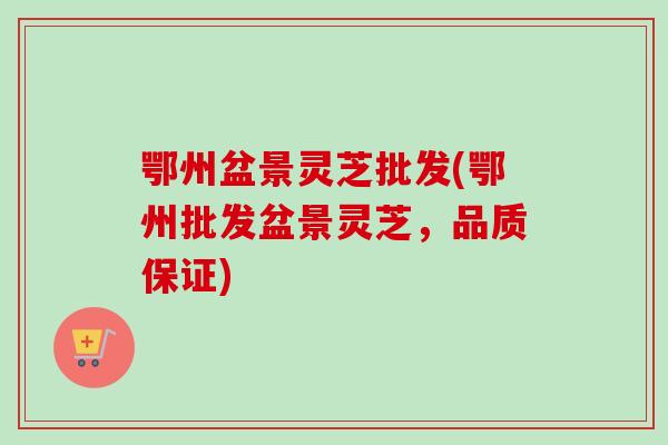 鄂州盆景灵芝批发(鄂州批发盆景灵芝，品质保证)
