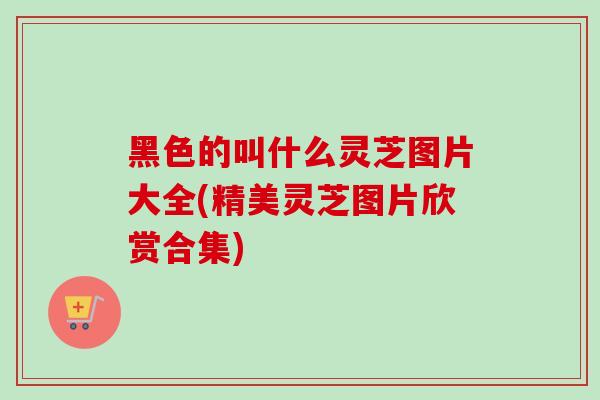 黑色的叫什么灵芝图片大全(精美灵芝图片欣赏合集)