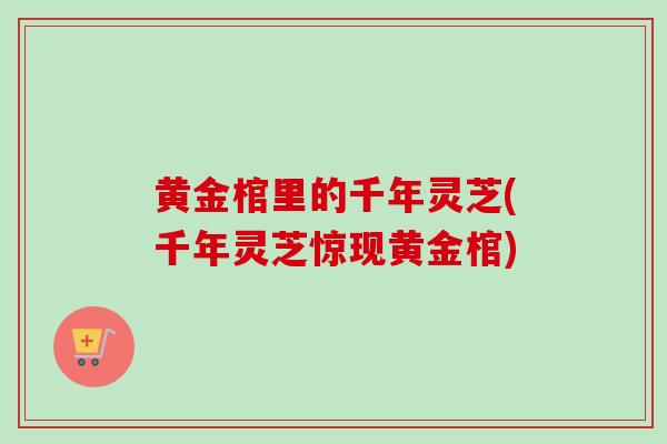 黄金棺里的千年灵芝(千年灵芝惊现黄金棺)