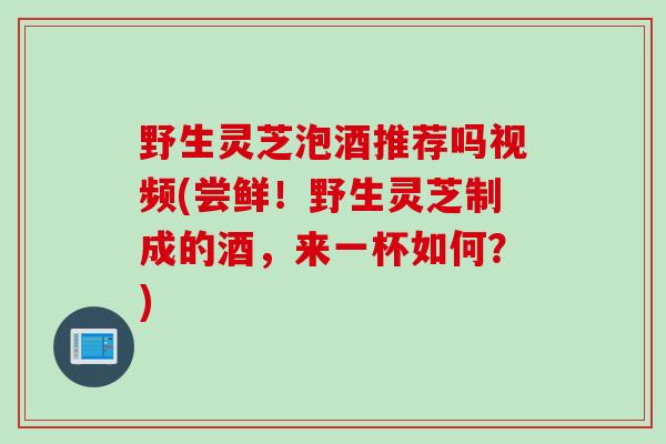 野生灵芝泡酒推荐吗视频(尝鲜！野生灵芝制成的酒，来一杯如何？)