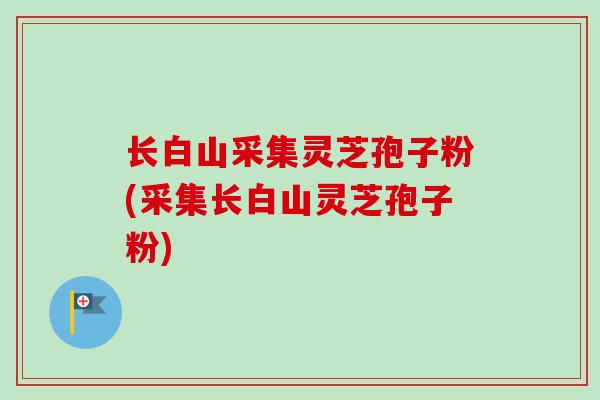 长白山采集灵芝孢子粉(采集长白山灵芝孢子粉)