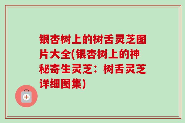 银杏树上的树舌灵芝图片大全(银杏树上的神秘寄生灵芝：树舌灵芝详细图集)