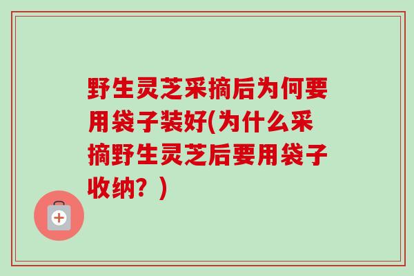 野生灵芝采摘后为何要用袋子装好(为什么采摘野生灵芝后要用袋子收纳？)