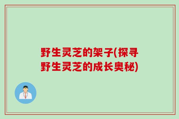 野生灵芝的架子(探寻野生灵芝的成长奥秘)