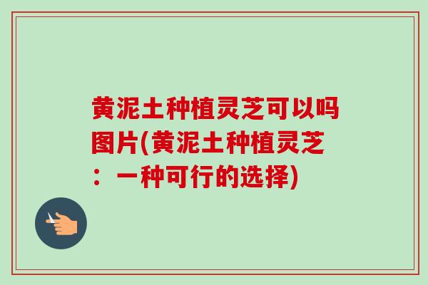 黄泥土种植灵芝可以吗图片(黄泥土种植灵芝：一种可行的选择)