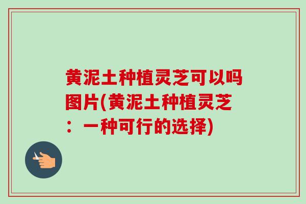 黄泥土种植灵芝可以吗图片(黄泥土种植灵芝：一种可行的选择)