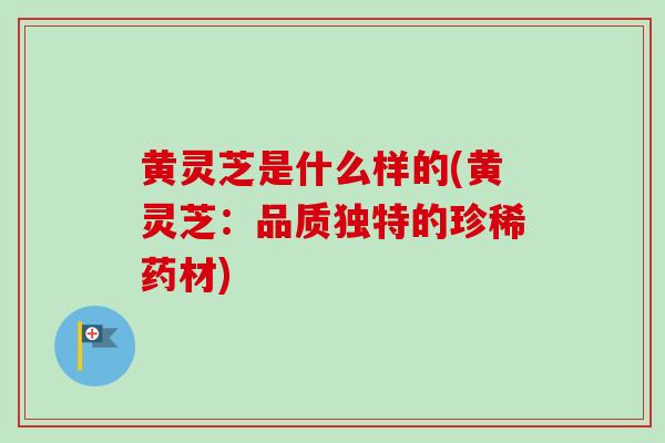 黄灵芝是什么样的(黄灵芝：品质独特的珍稀药材)
