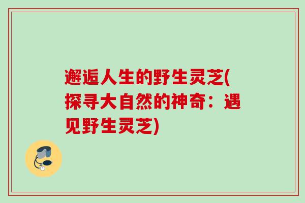 邂逅人生的野生灵芝(探寻大自然的神奇：遇见野生灵芝)