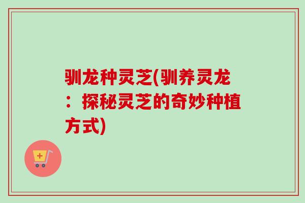 驯龙种灵芝(驯养灵龙:探秘灵芝的奇妙种植方式) 驯龙种灵芝(驯养灵龙:探秘灵芝的奇妙种植方式)