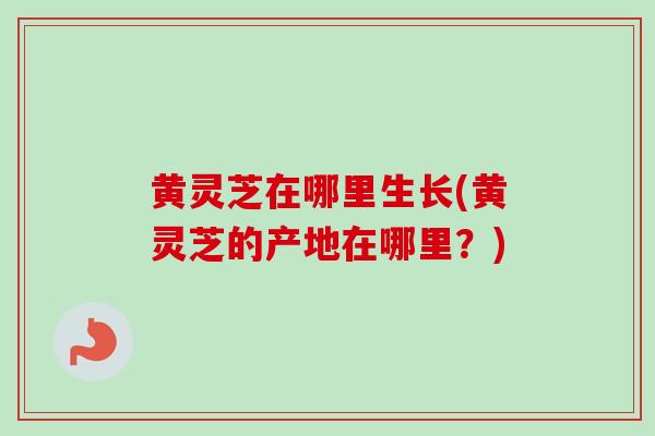 黄灵芝在哪里生长(黄灵芝的产地在哪里？)
