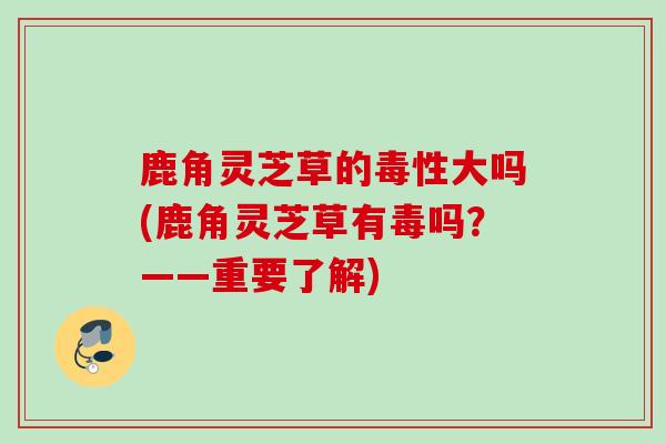 鹿角灵芝草的毒性大吗(鹿角灵芝草有毒吗？——重要了解)