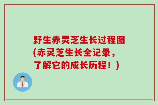 野生赤灵芝生长过程图(赤灵芝生长全记录，了解它的成长历程！)