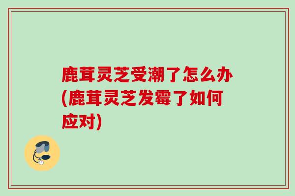 鹿茸灵芝受潮了怎么办(鹿茸灵芝发霉了如何应对)