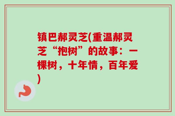 镇巴郝灵芝(重温郝灵芝“抱树”的故事：一棵树，十年情，百年爱)