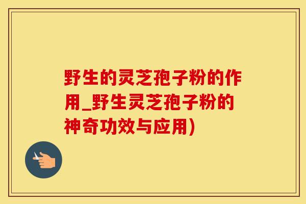 野生的灵芝孢子粉的作用_野生灵芝孢子粉的神奇功效与应用)