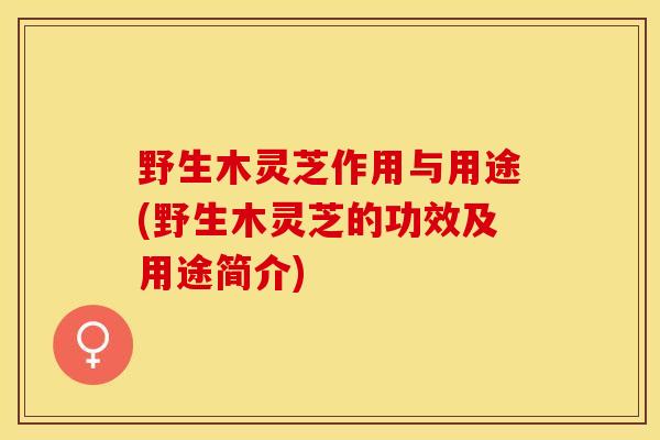 野生木灵芝作用与用途(野生木灵芝的功效及用途简介)