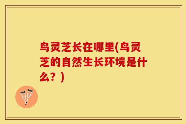 鸟灵芝长在哪里(鸟灵芝的自然生长环境是什么？)