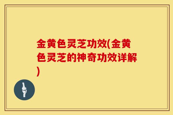金黄色灵芝功效(金黄色灵芝的神奇功效详解)