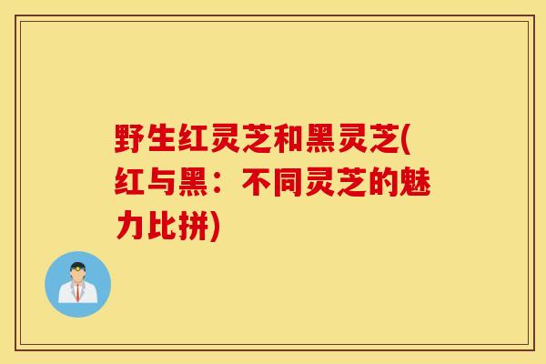 野生红灵芝和黑灵芝(红与黑:不同灵芝的魅力比拼) 野生红灵芝和黑灵芝(红与黑:不同灵芝的魅力比拼)