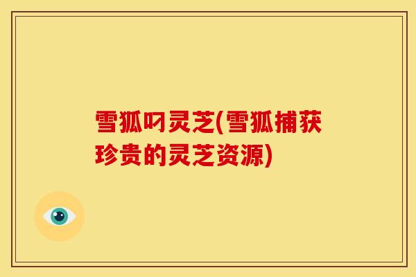 雪狐叼灵芝(雪狐捕获珍贵的灵芝资源)