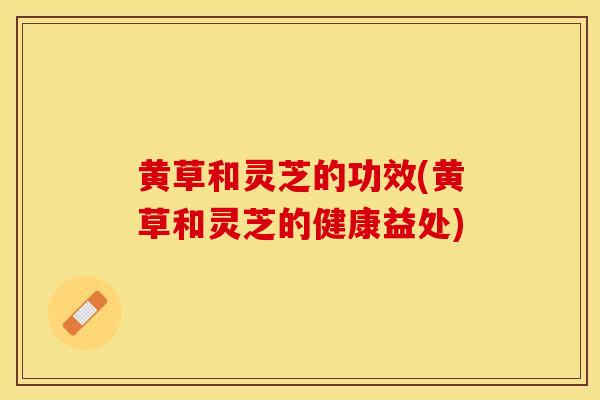 黄草和灵芝的功效(黄草和灵芝的健康益处)