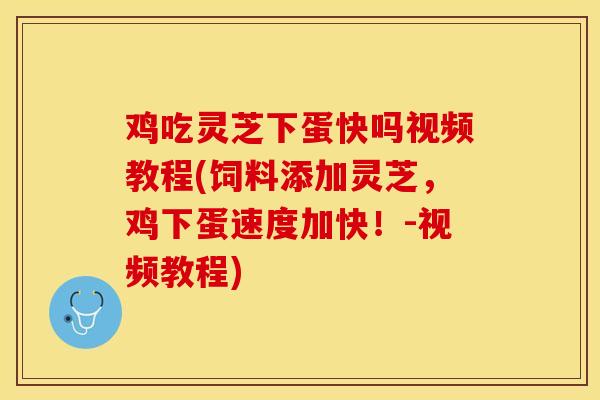 鸡吃灵芝下蛋快吗视频教程(饲料添加灵芝，鸡下蛋速度加快！-视频教程)