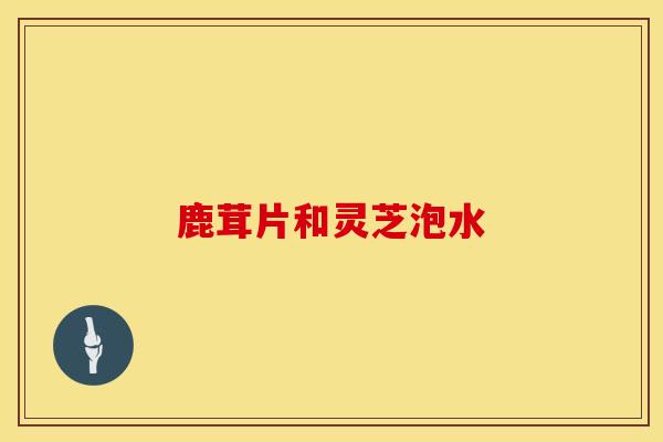 鹿茸片和灵芝泡水