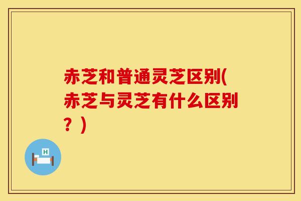 赤芝和普通灵芝区别(赤芝与灵芝有什么区别？)