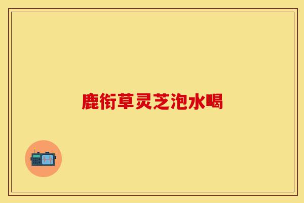 鹿衔草灵芝泡水喝