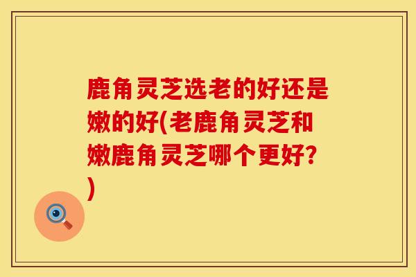 鹿角灵芝选老的好还是嫩的好(老鹿角灵芝和嫩鹿角灵芝哪个更好？)