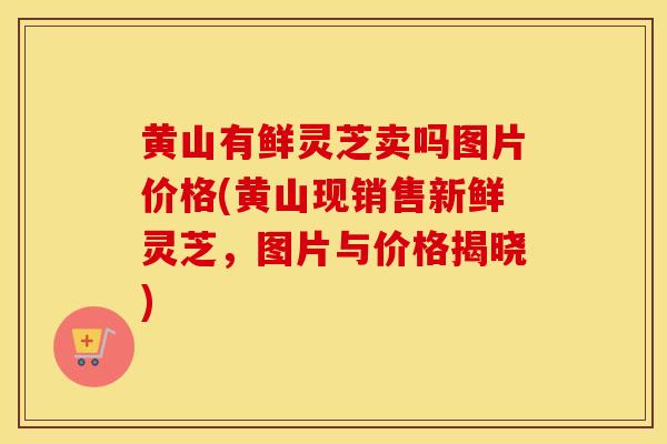 黄山有鲜灵芝卖吗图片价格(黄山现销售新鲜灵芝，图片与价格揭晓)