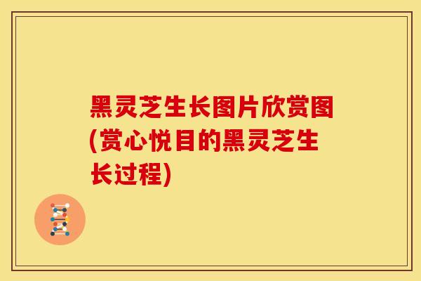 黑灵芝生长图片欣赏图(赏心悦目的黑灵芝生长过程)