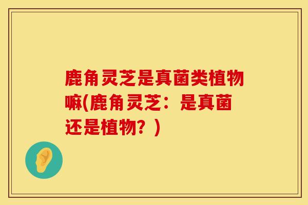 鹿角灵芝是真菌类植物嘛(鹿角灵芝：是真菌还是植物？)