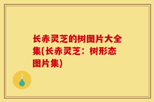 长赤灵芝的树图片大全集(长赤灵芝：树形态图片集)